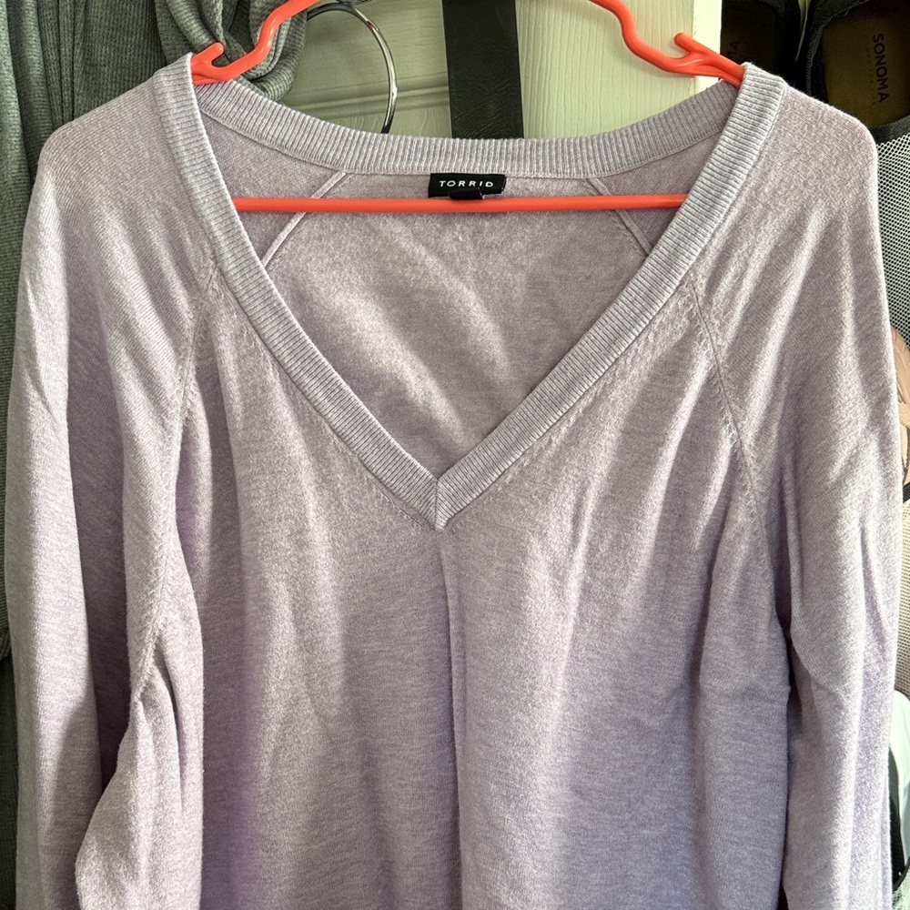 Torrid Light Purple V-Neck Sweater